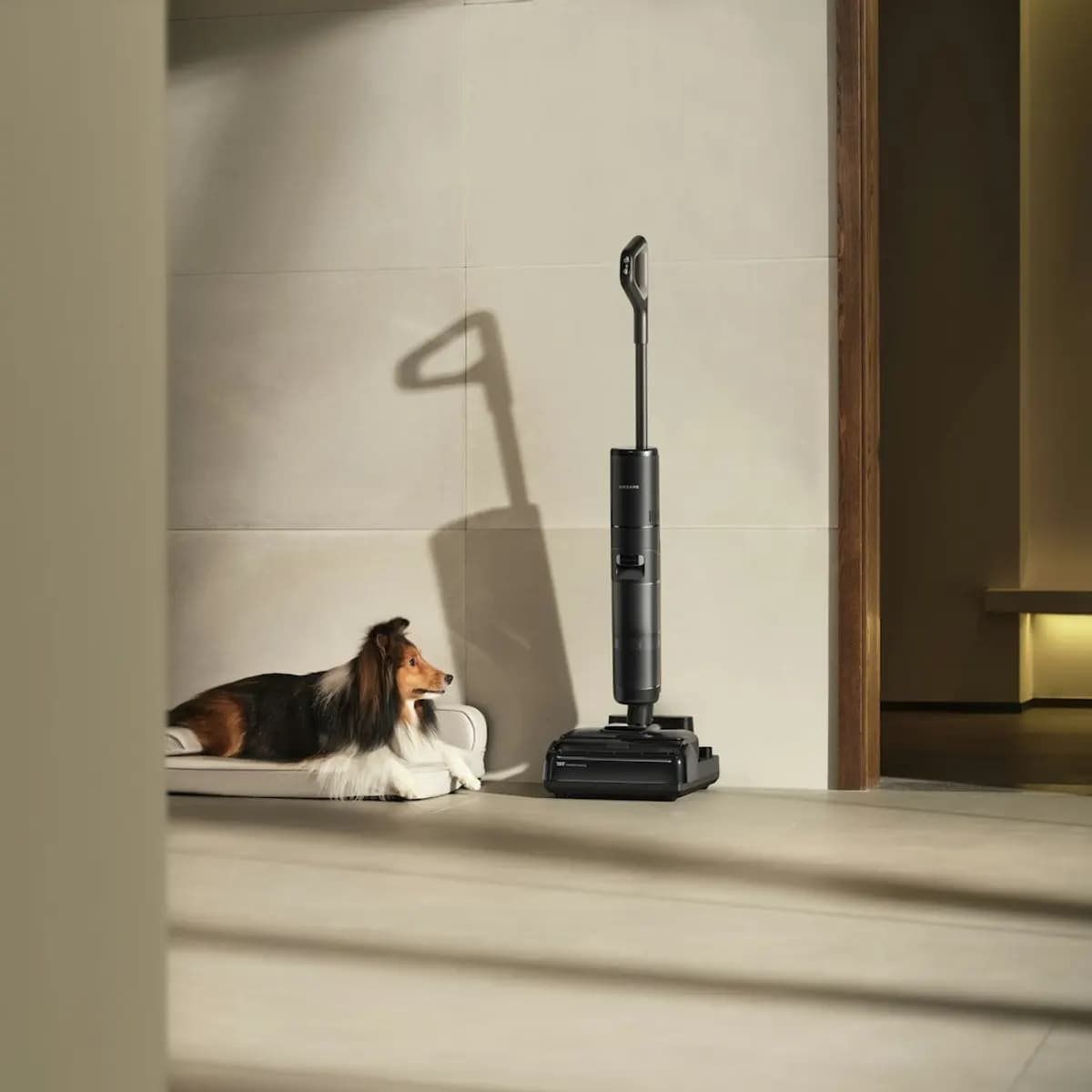 Dyson V15 Detect Absolute Akku-Staubsauger (446986-01) – Bild 1 von 1